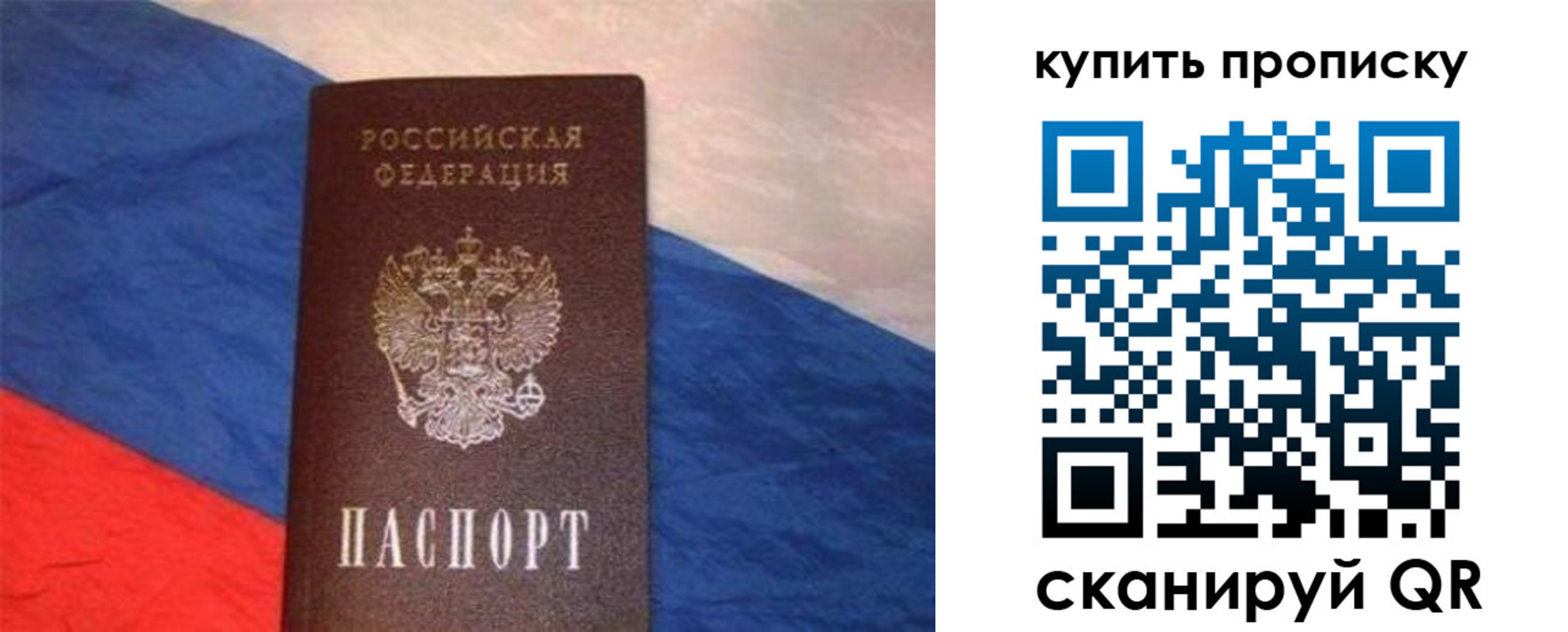 прописка штамп в Владимирской области